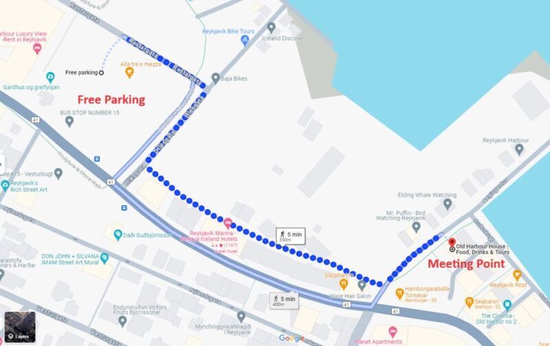 From Reykjavik: Northern Lights Sightseeing Cruise - From Reykjavik: Northern Lights Sightseeing Cruise — A Friendly, Honest Review