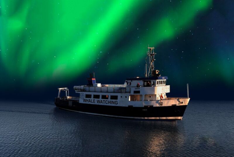 From Reykjavik: Northern Lights Sightseeing Cruise - Price and Value