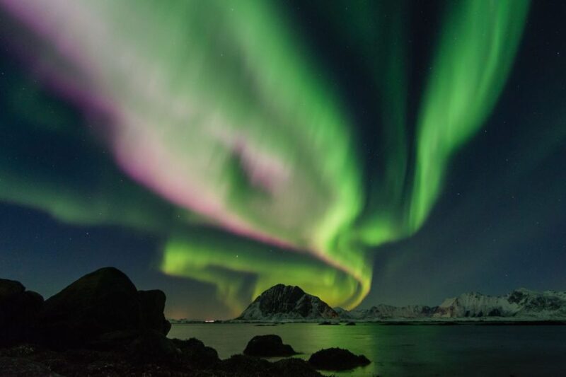 From Reykjavik: Northern Lights Sightseeing Cruise - The Verdict: Who Should Consider This Tour?