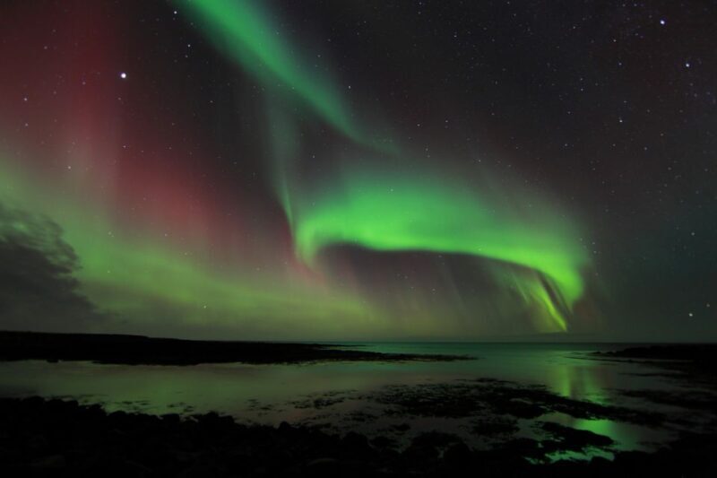 From Reykjavik: Northern Lights Tour - Key Points