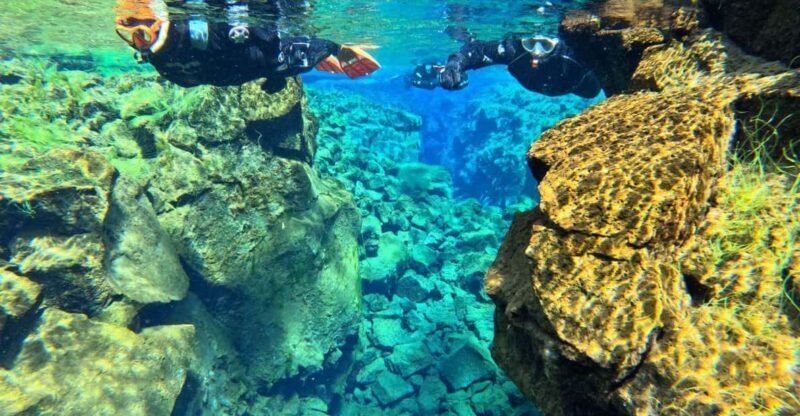 From Reykjavík: Silfra Snorkeling with free photos - The Practicalities: Transportation and Group Size