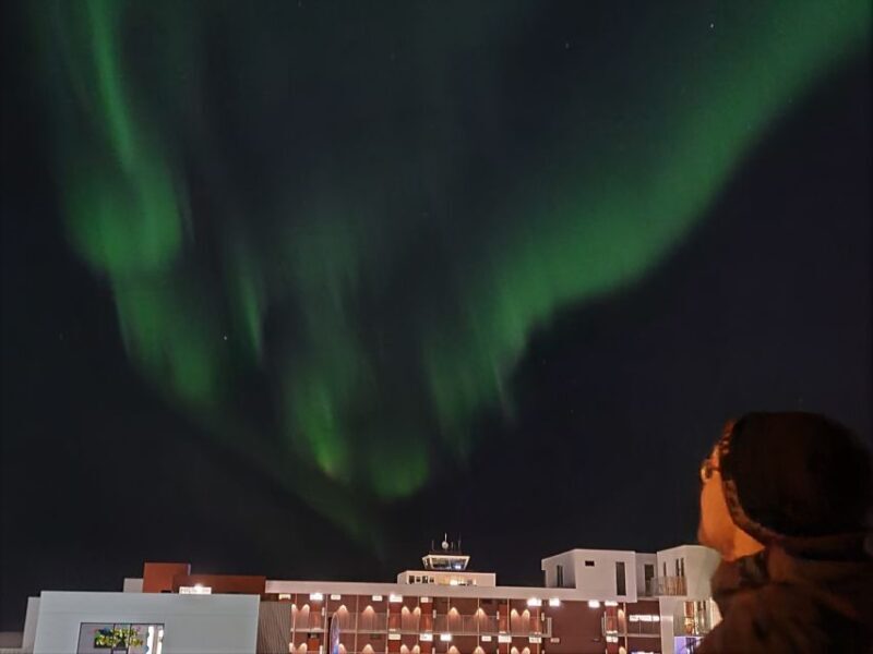 From Reykjavík: Spot the Northern Lights with Snacks & Drink - What to Expect from the Tour