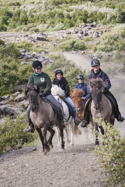 From Reykjavík: Viking Horseback Tour in Hafnarfjörður - The Horses & Safety