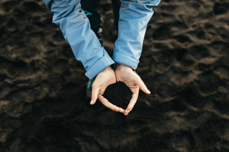 From Reykjavík: Waterfalls, Black Beach & Glacier Day Trip - Who Will Like This Tour?