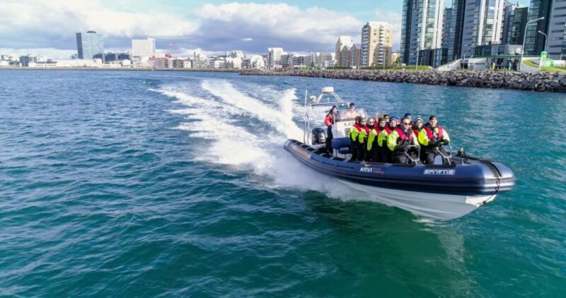 From Reykjavik: Whale Watching Tour by Speedboat - An Honest Look at the Experience