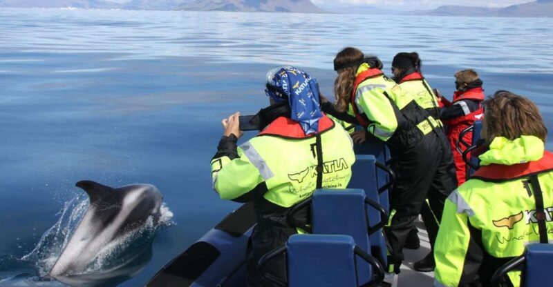 From Reykjavik: Whale Watching Tour by Speedboat - FAQ