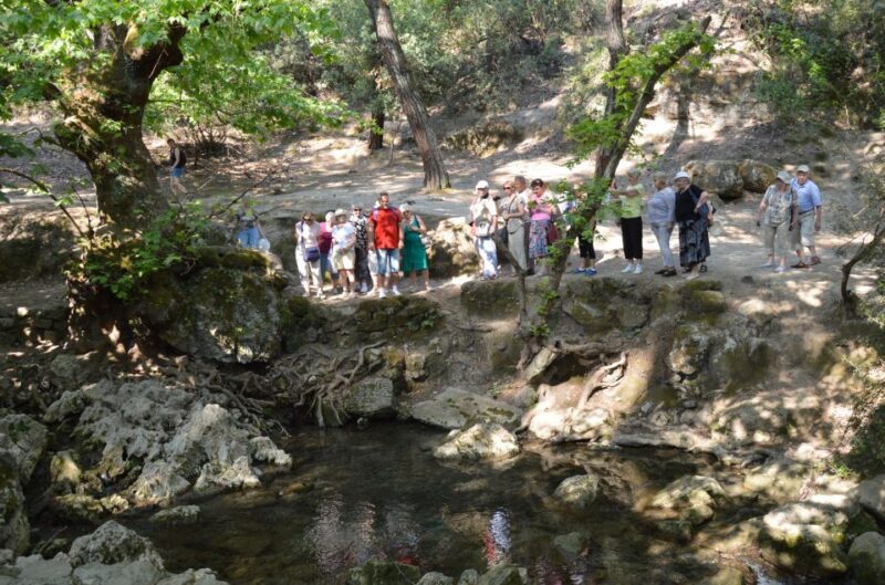 From Rhodes: Bus Tour to Lindos and the Seven Springs - Key Points