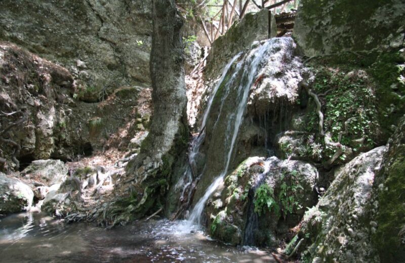 From Rhodes: Bus Tour to Lindos and the Seven Springs - Who Is This Tour Best For?