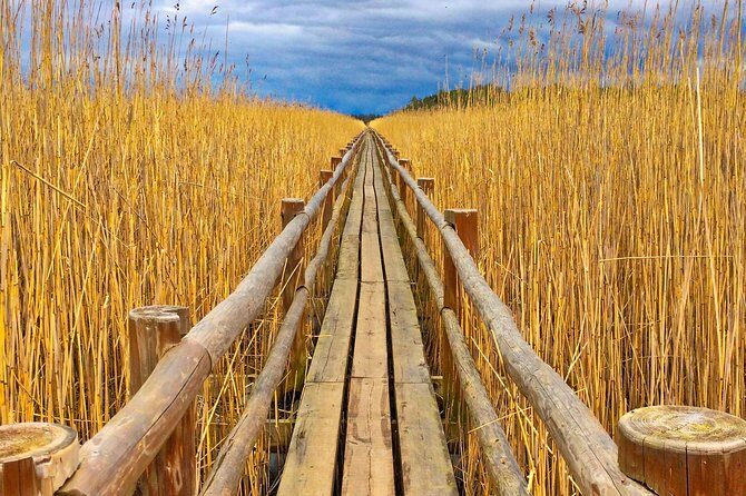 From Riga: Best of Kemeri National Park In One Day - The Itinerary: What You Can Expect