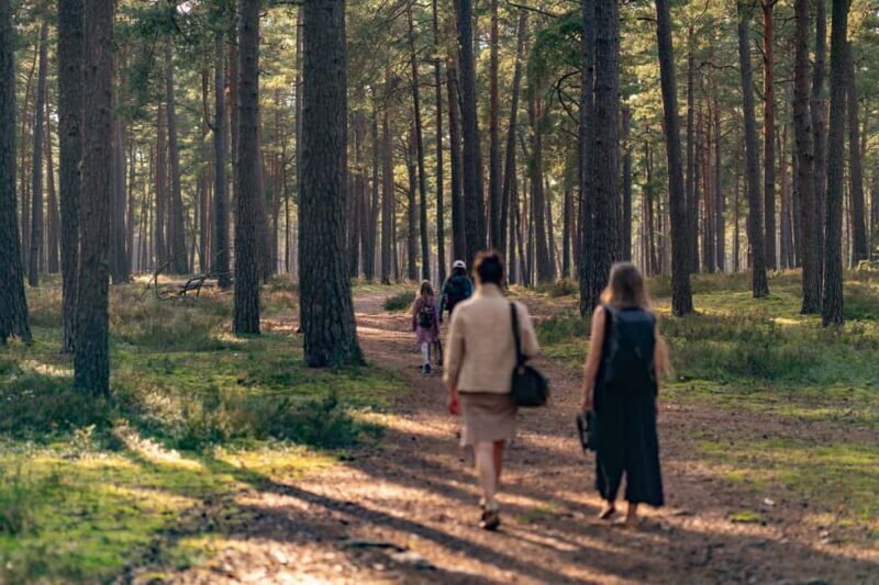 From Riga: Explore Latvian Nature With a Local Photographer - An Honest Look at the Latvian Nature Tour from Riga