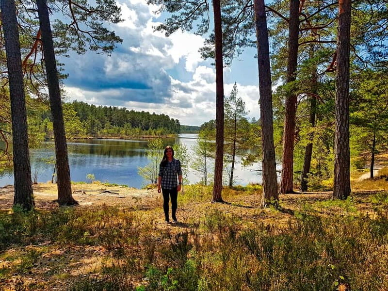 From Riga: Four Natural Ecosystems In One Hike - An In-Depth Look at the Hike