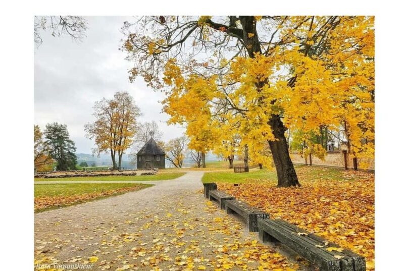 From Riga: Hidden Gems of iemgala Private 2-Day Tour - What the Tour Offers in Practical Terms