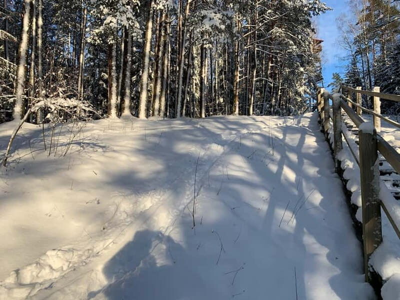 From Riga: Husky Sledding or Wheel Kart Tour - Who Should Consider This Tour?