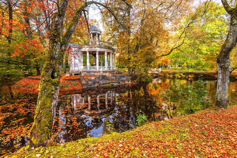 From Riga: Jurmala and Great Kemeri Private Full-Day Trip - The Experience You’ll Take Home