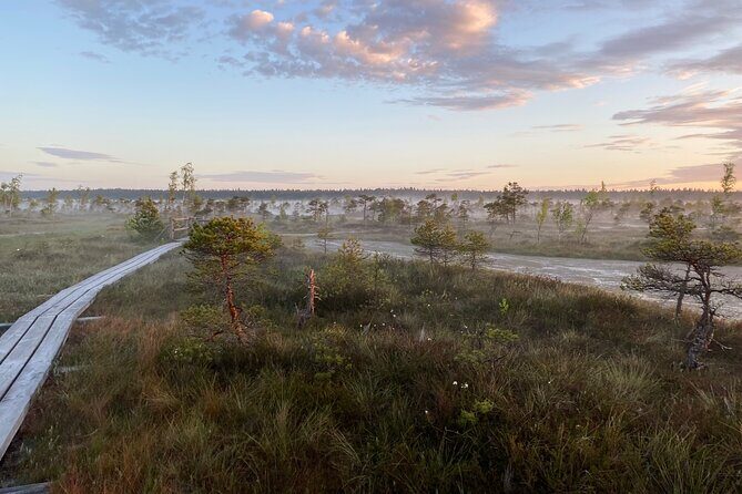 From Riga: Kemeri Bog Boardwalk and Jurmala Seaside - The Dzintari Concert Hall
