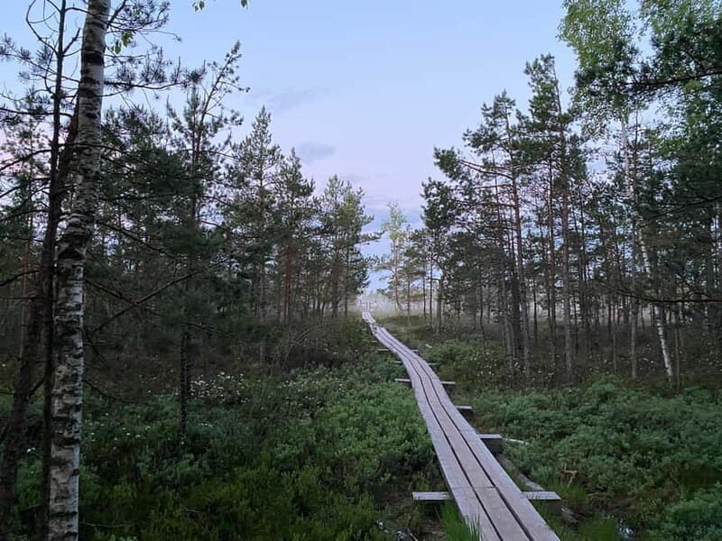 From Riga: Kemeri Bog & Seaside Jurmala - Key Points