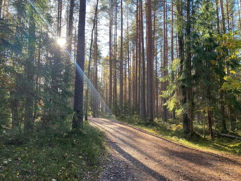 From Riga: Kemeri Bog & Seaside Jurmala - A Closer Look at the Tour Experience