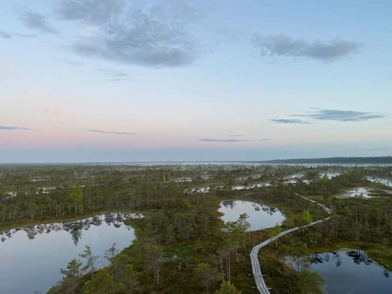 From Riga: Kemeri Bog & Seaside Jurmala - Who Should Consider This Tour?