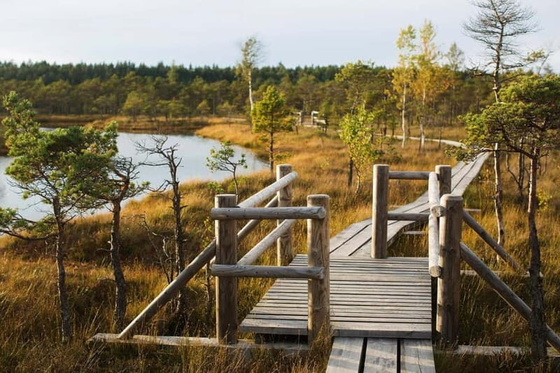 From Riga: Kemeri National Park and Kuldiga Tour - What Makes This Tour Special?