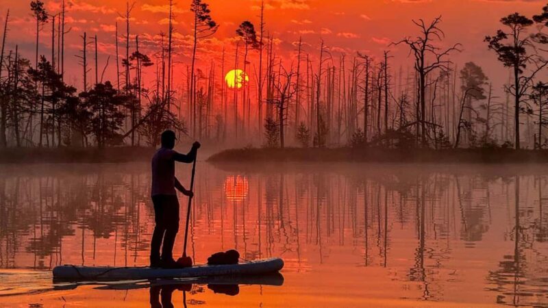 From Riga: Sunrise SUP Tour with Pick-Up at Cenas Trelis - Exploring the Sunrise SUP Tour: What You Can Expect