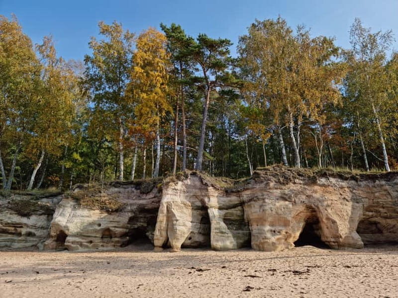 From Riga: Vidzeme Coast Half-Day Trip with Lunch - Discovering Latvia’s Coastal Gems