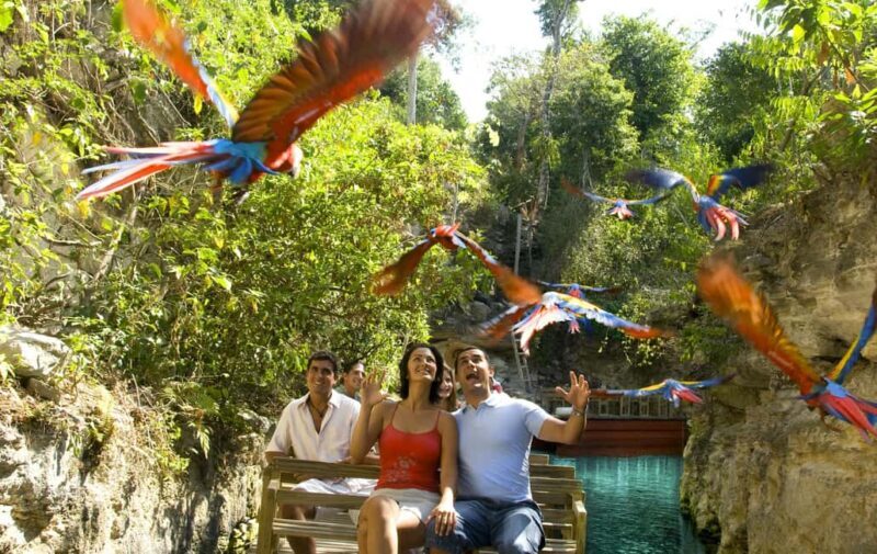 From Riviera Maya: Complete Combo to Xcaret Park! - The Dining Experience: Buffet Lunch and Refreshments