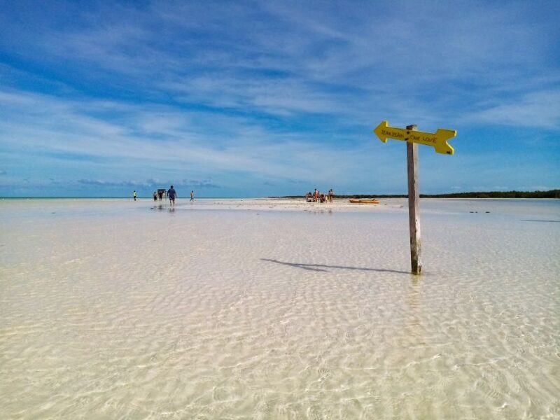 From Riviera Maya: Holbox Full-Day Tour with Lunch - Who Will Love This Tour?
