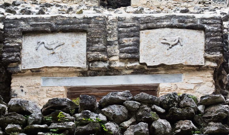 From Riviera Maya : Sian Ka'an Muyil Birdwatching with Guide - Authentic Reviews Speak Volumes