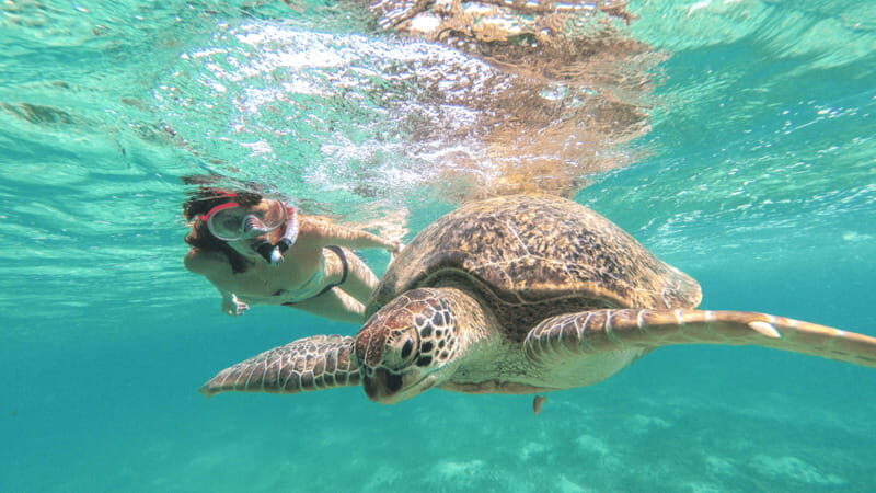 From Riviera Maya: Tulum, Cenote, & Akumal Turtle Swim Trip - FAQ