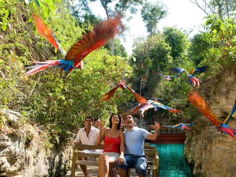 From Riviera Maya: Xcaret Park All-Inclusive - The Practical Side: Logistics and Value