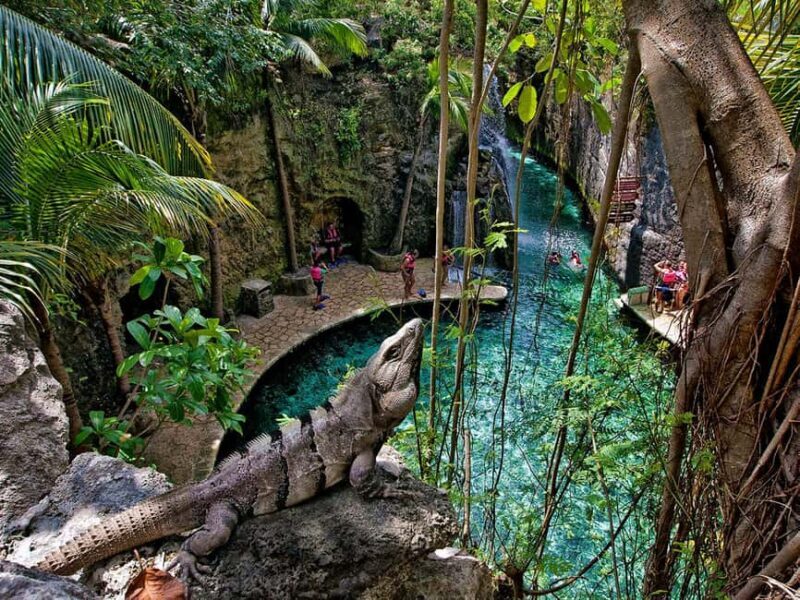 From Riviera Maya: Xcaret Park All-Inclusive - Who Will Love This Tour?