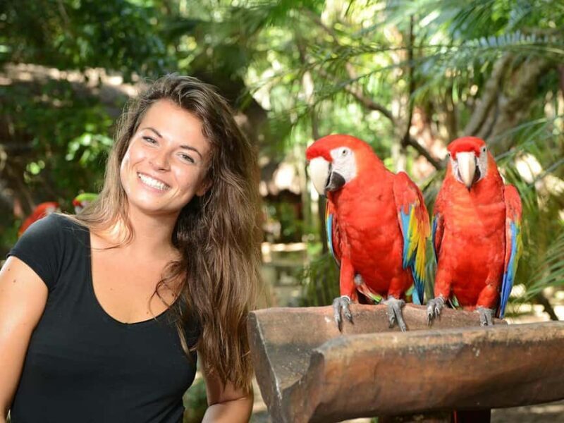 From Riviera Maya: Xcaret Park All-Inclusive - Final Thoughts