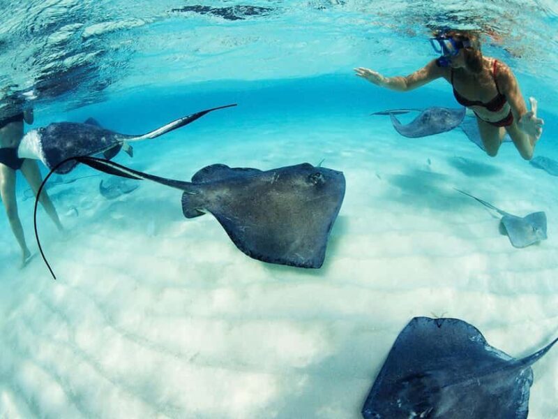 From Riviera Maya: Xcaret Park Plus, the complete experience - Key Points