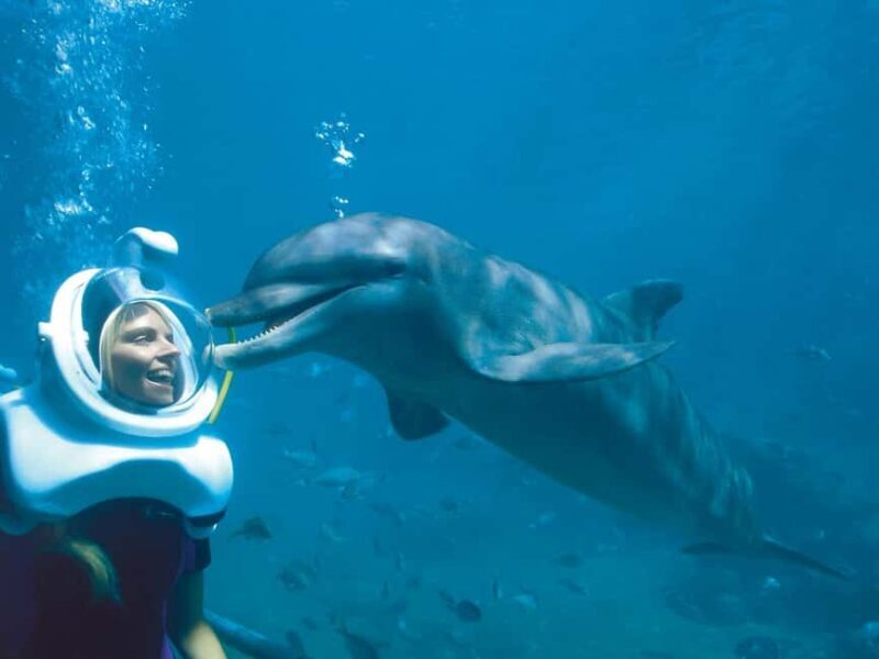 From Riviera Maya: Xel-Há All-Inclusive Park - Final Thoughts