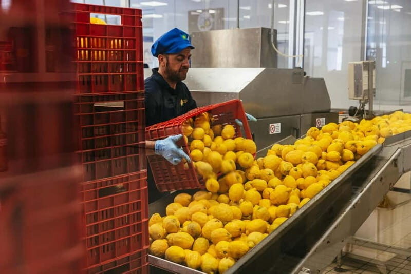 From Rome: Best of Pompeii Guided Tour and Sorrento Day Trip - The Journey from Rome to Pompeii