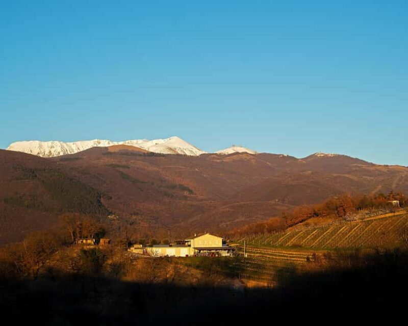 From Rome: Cantina Le Macchie Winery Tour and Tasting - Key Points