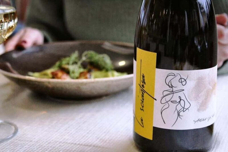 From Rome: Cantina Le Macchie Winery Tour and Tasting - Is it Worth the Price?