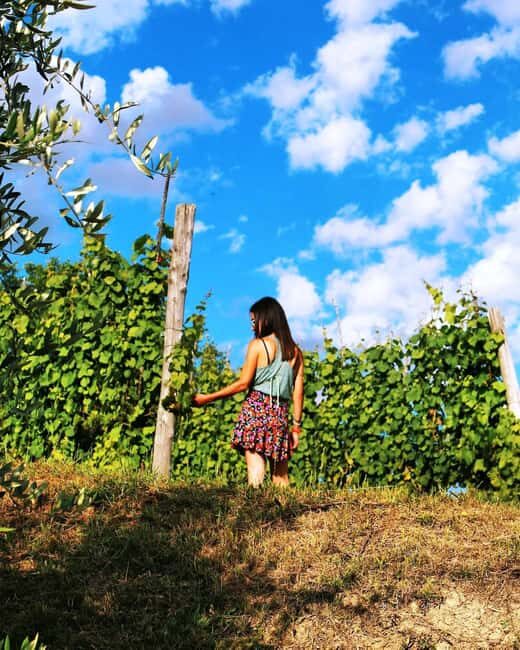 From Rome: Cantina Le Macchie Winery Tour and Tasting - Final Thoughts