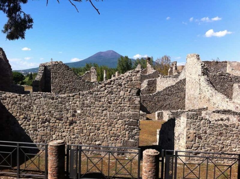 From Rome Day trip: Pompeii and Vesuvius at your leisure - Who Should Consider This Tour?