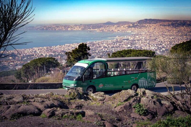 From Rome Day trip: Pompeii and Vesuvius at your leisure - FAQ