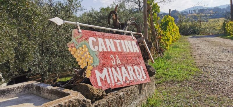 From Rome: Half-Day Frascati Wine Tour with Farmhouse Lunch - What Past Guests Say