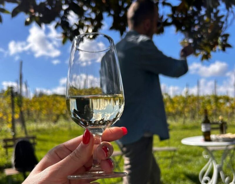 From Rome: Half-Day Frascati Wine Tour with Farmhouse Lunch - Final Thoughts: Is This Tour Right For You?