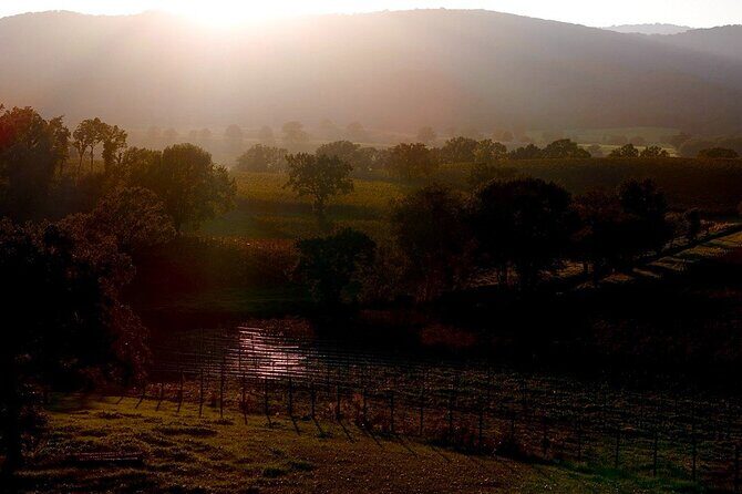 From Rome: Hidden Tuscany Day Trip with Lunch and Wine Tastings - A Closer Look at the Itinerary and Experience