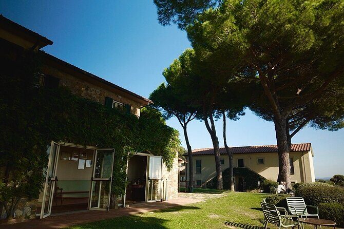 From Rome: Hidden Tuscany Day Trip with Lunch and Wine Tastings - Is This Tour Worth It?