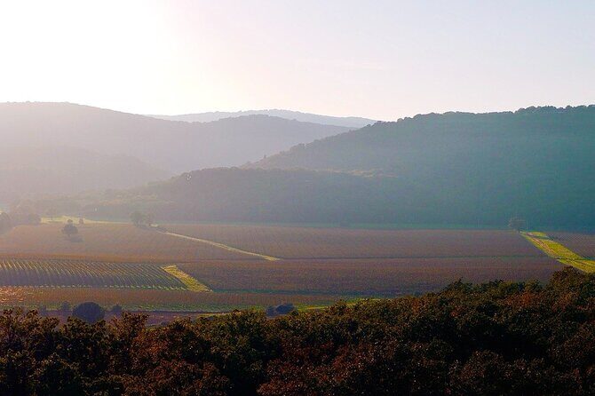 From Rome: Hidden Tuscany Day Trip with Lunch and Wine Tastings - FAQs