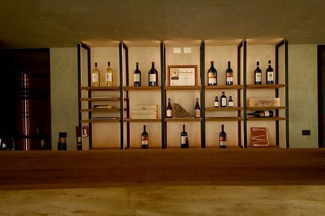 From Rome: Hidden Tuscany Day Trip with Lunch and Wine Tastings - Final Thoughts