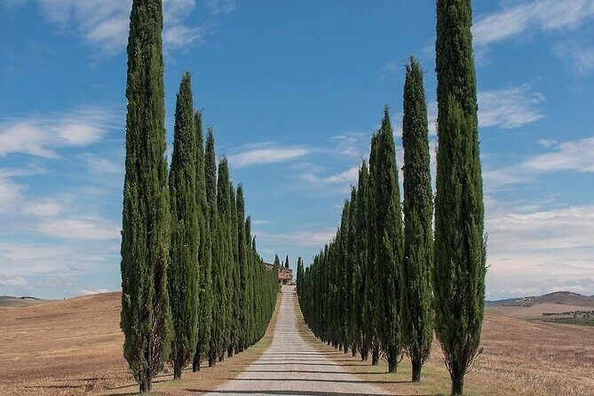 From Rome: Private Day-Tour of Tuscany - An In-Depth Look at the Itinerary