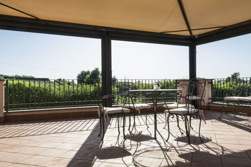 From Rome: tasting tour in cellar immersed between vineyards - Exploring the Cellars and Vineyards