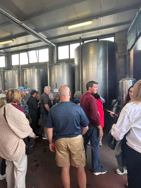 From Rome: tasting tour in cellar immersed between vineyards - Who Will Love This Tour?