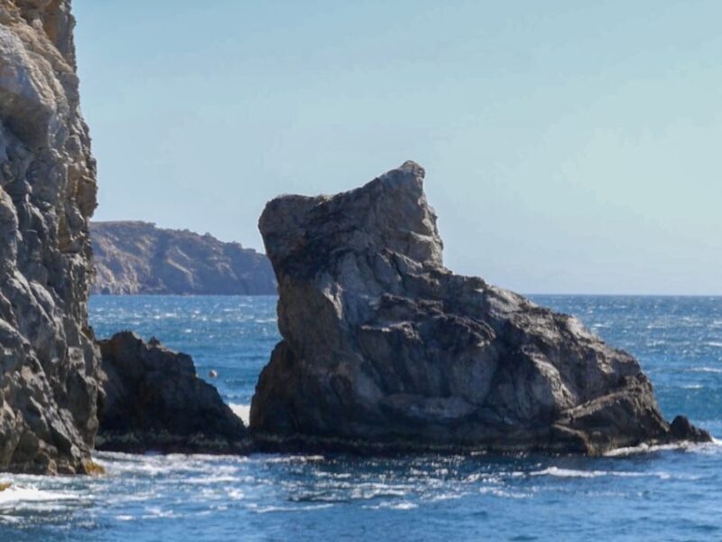 From Roses: Cap Norfeu Boat Cruise & Swimming - The Underwater Vision Experience